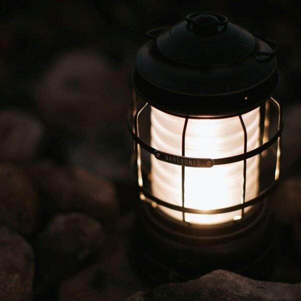 Forest Lantern - Image 27