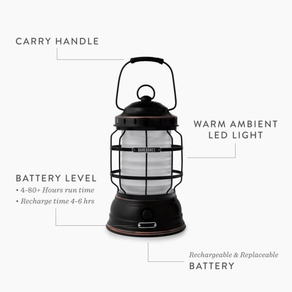 Forest Lantern - Image 26