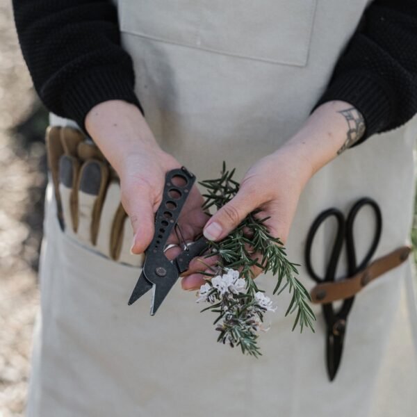 Herb Harvest and Strip Tool - Image 6