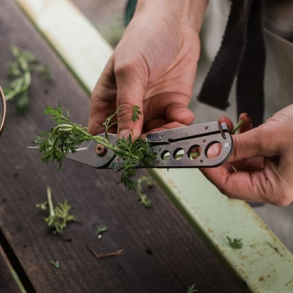 Herb Harvest and Strip Tool - Image 8