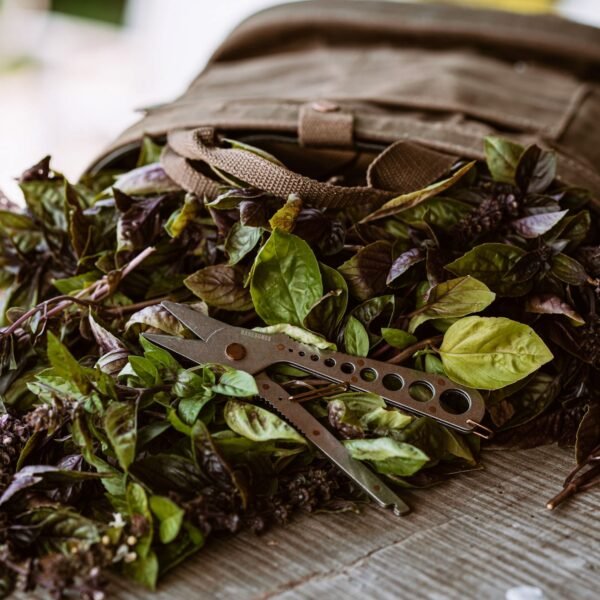 Herb Harvest and Strip Tool - Image 7