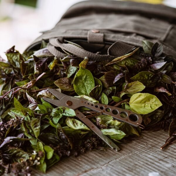 Foraging Bag Bundle - Image 3