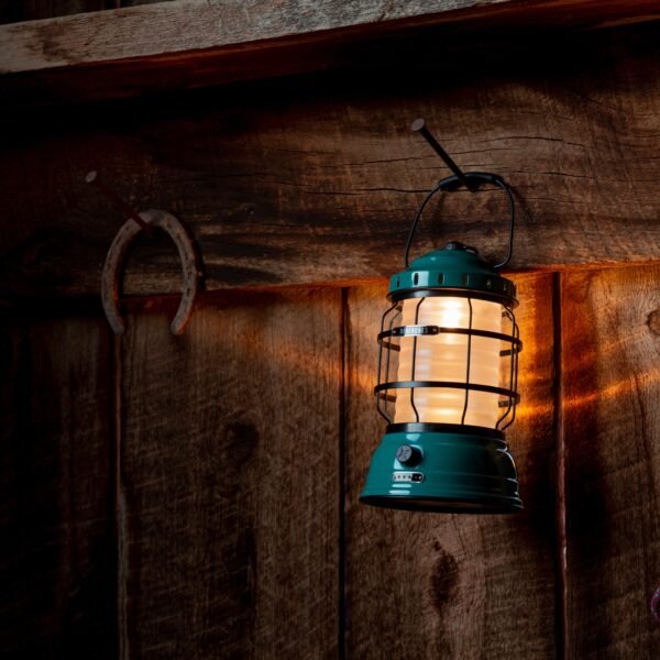 Forest Lantern - Image 19