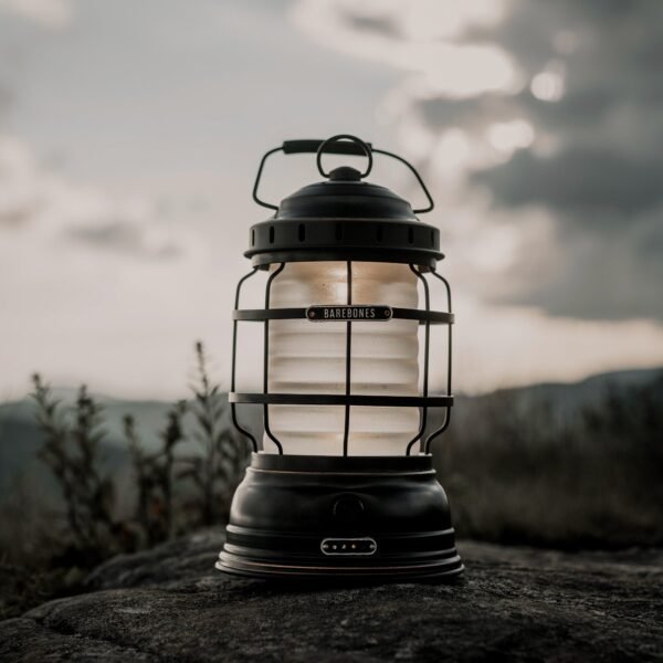 Forest Lantern - Image 3