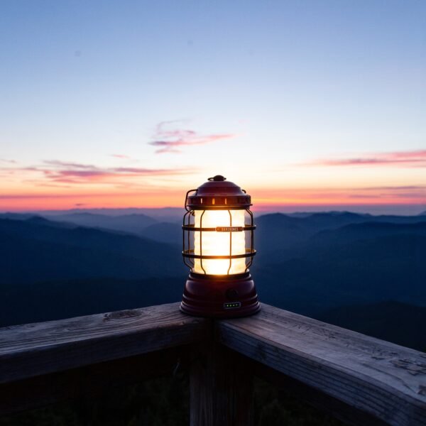 Forest Lantern - Image 4