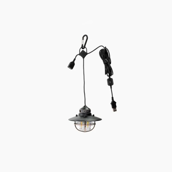 Edison Pendant Light - Image 2